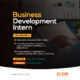 Business Development Intern